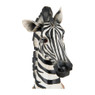 Zebra buste - 37 cm