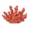 Deco koraal - oranje - 15x18x5 cm