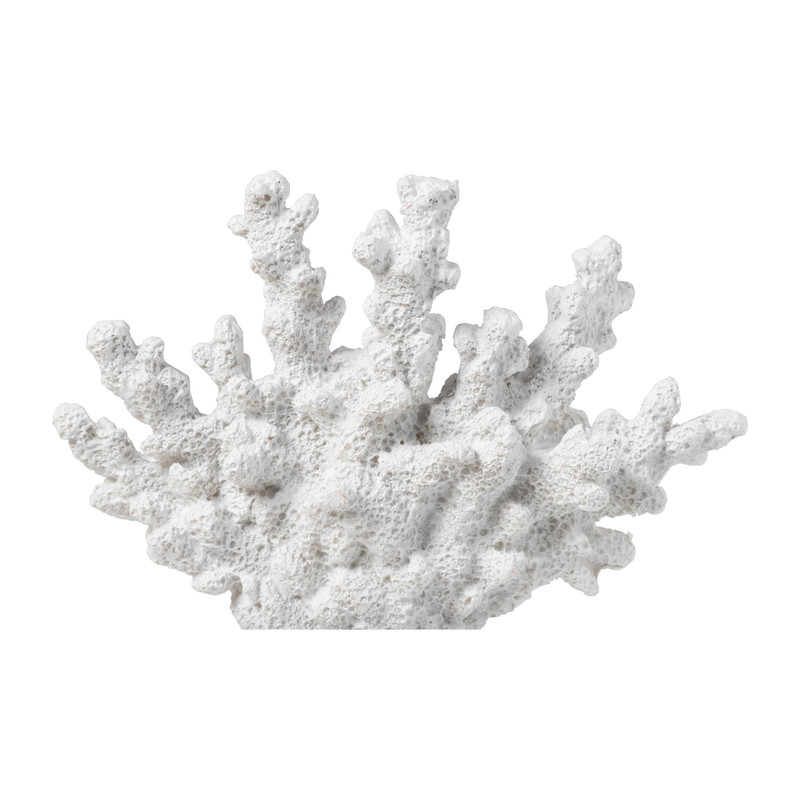 Deco koraal - wit - 15x18x5 cm
