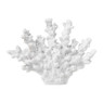 Deco koraal - wit - 15x18x5 cm