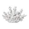 Deco koraal - wit - 15x18x5 cm