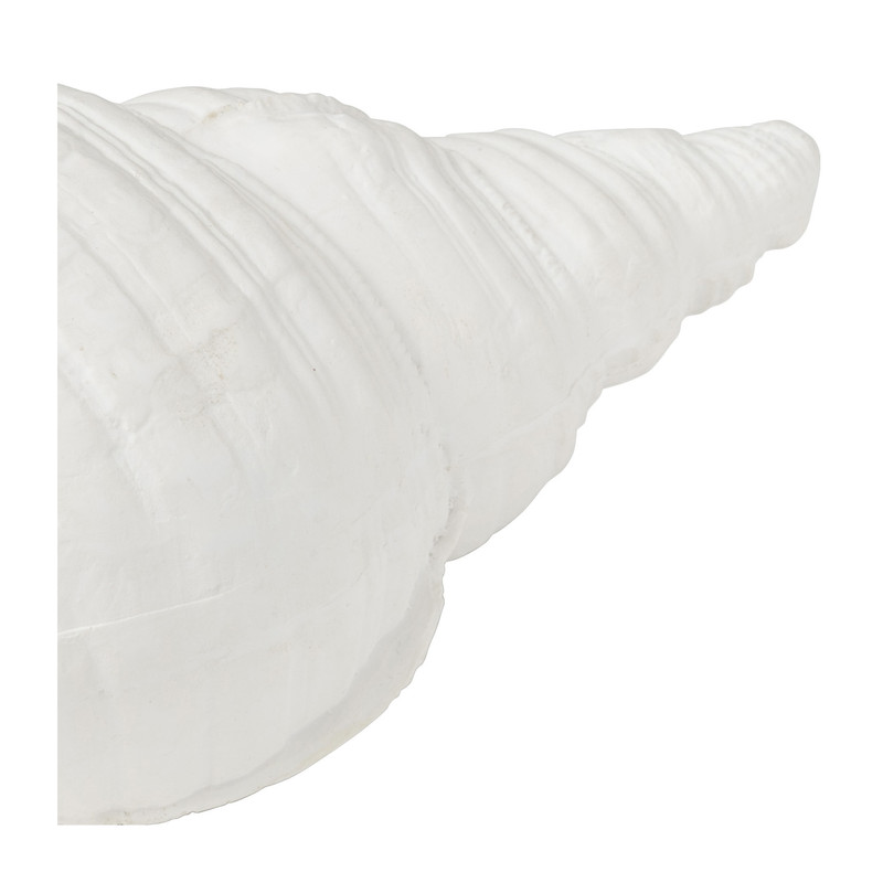 Deco schelp - 9.7x24.5x11.3 cm