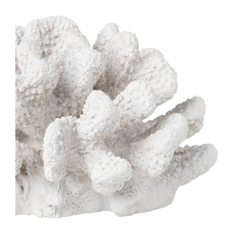 Deco koraal groot - 10x18x14 cm