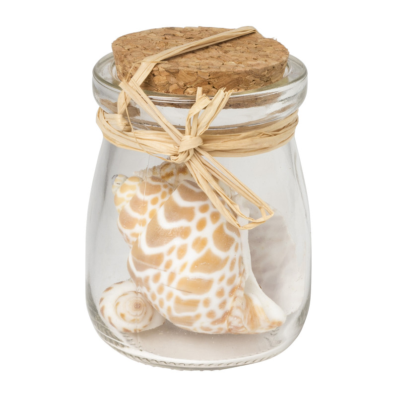 Potje met schelpen - naturel - ø5x7.5 cm 