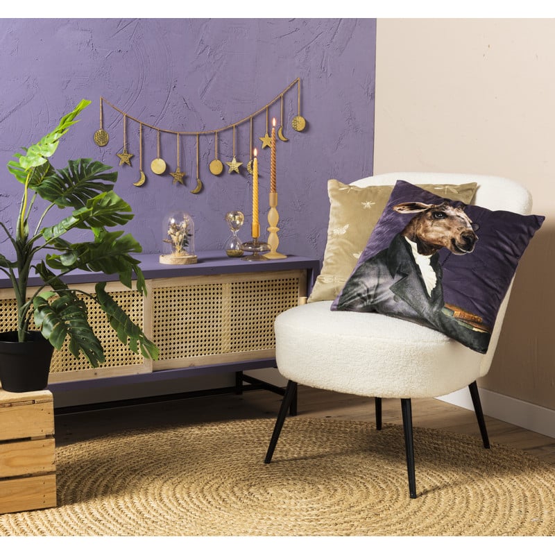 Stolp droogbloem lagurus - naturel - diverse varianten