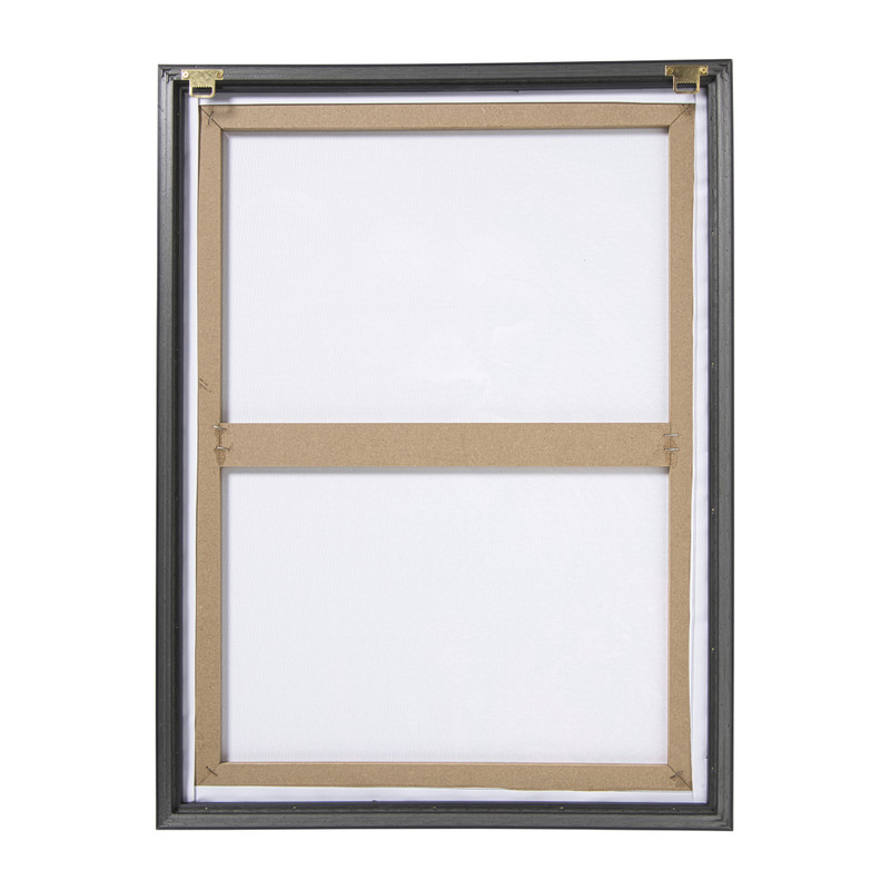 Poster met lijst leeuw - 45x60 cm 