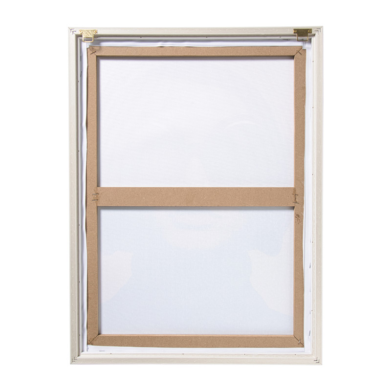 Poster met lijst vrouw - multikleur - 50x70 cm 