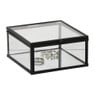 Zwart box glas klein - zwart/transparant - 5x10x10 cm