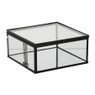 Zwart box glas groot - zwart/transparant - 6x14x14 cm