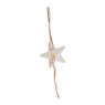 Draadverlichting ster - warm licht - 20 lampjes