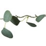 Kerst lichtslinger met eucalyptus - groen - 2 meter