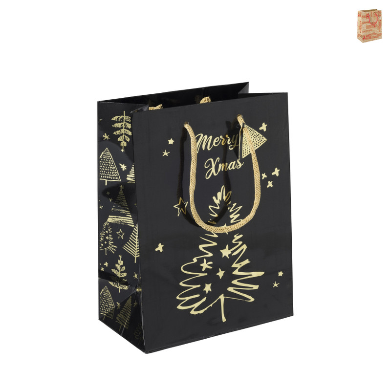 Cadeautas M - diverse varianten - 22.9x17.5x9.8 cm