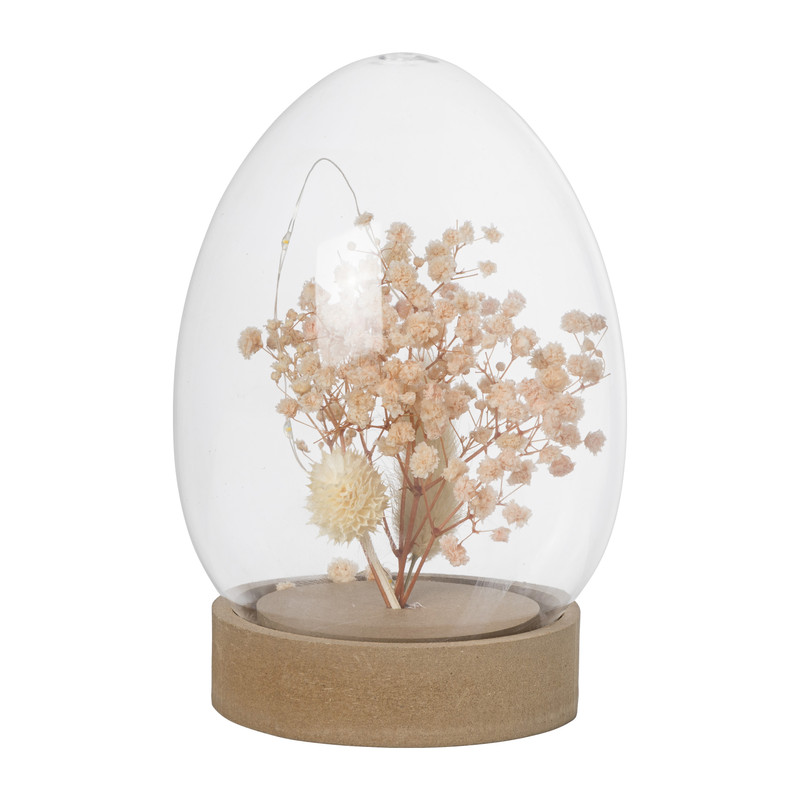 Stolp ei droogbloem - diverse kleuren - ø11.5x16.7 cm