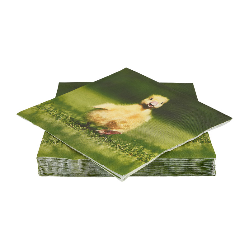 Servetten eendje in het gras - 16.5x16.5 cm - set van 20