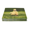 Servetten eendje in het gras - 16.5x16.5 cm - set van 20