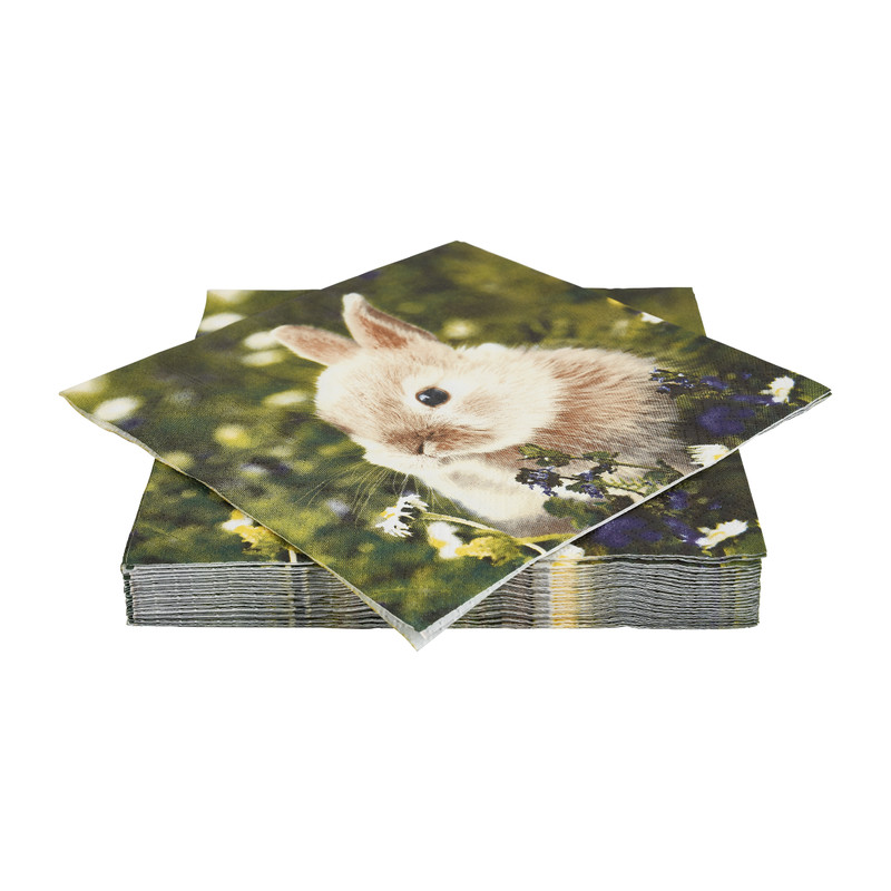 Servetten konijn in het gras - 16.5x16.5 cm - set van 20