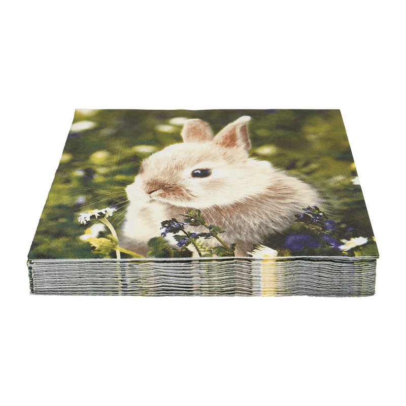 Servetten konijn in het gras - 16.5x16.5 cm - set van 20