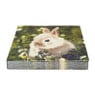 Servetten konijn in het gras - 16.5x16.5 cm - set van 20