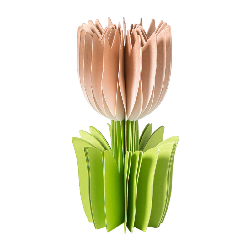 Paashanger tulp klein - papier - diverse varianten