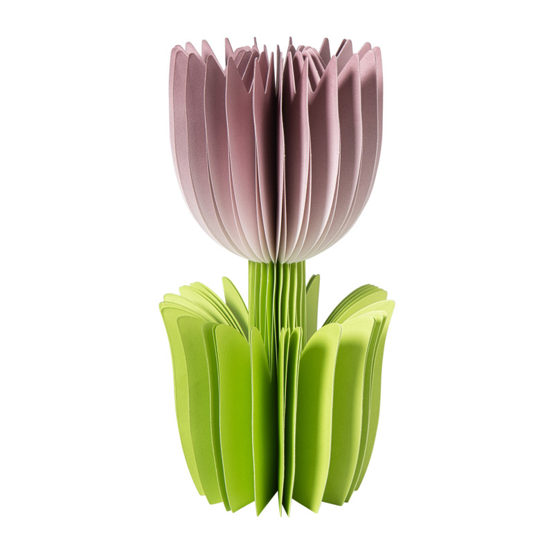 Paashanger tulp groot - papier - diverse varianten