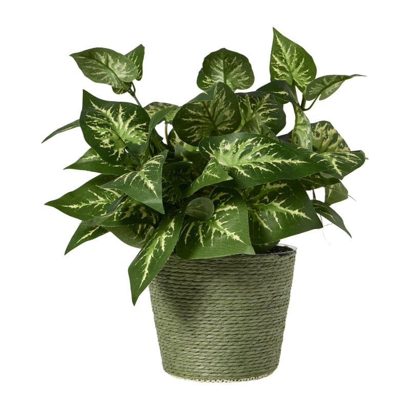 Bloempot mand klein - diverse varianten - ø12x9 cm