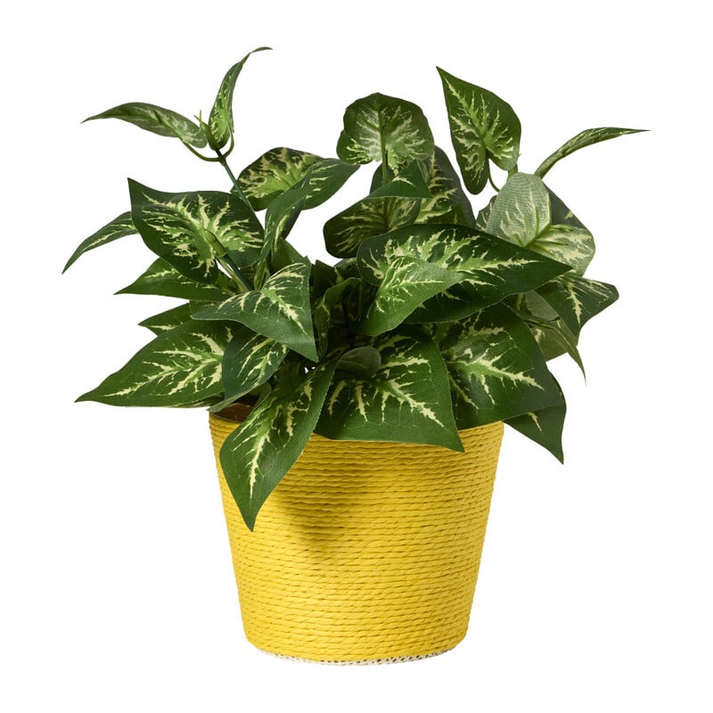 Bloempot mand groot - diverse varianten - ø13.5x11 cm