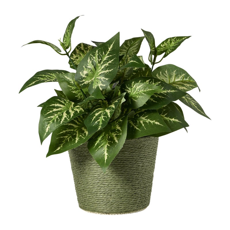 Bloempot mand groot - diverse varianten - ø13.5x11 cm