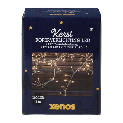 Koperverlichting led 100 warm - zilverkleurig - 100 cm