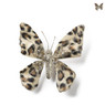 Vlinder op clip - luipaard - diverse varianten
