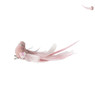 Vogel op clip - roze