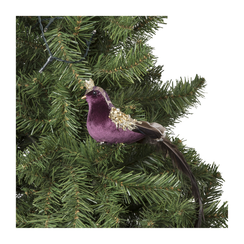 Vogel met kroon op clip - paars