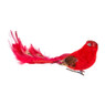 Vogel op clip - rood - 20 cm