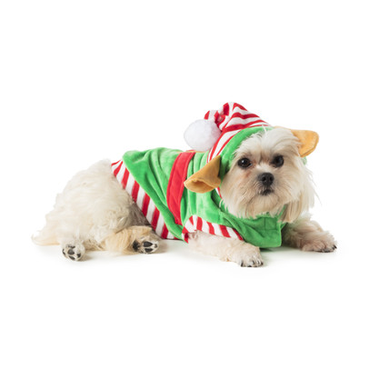 periscoop Helaas Wiegen Kerst outfit voor dieren - elf | Xenos