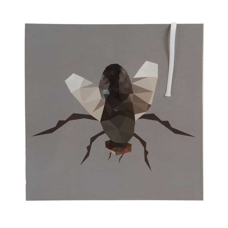 Notitieboek 21x21 cm - insect 