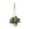 Hangbloempot - naturel - ⌀22x9 cm