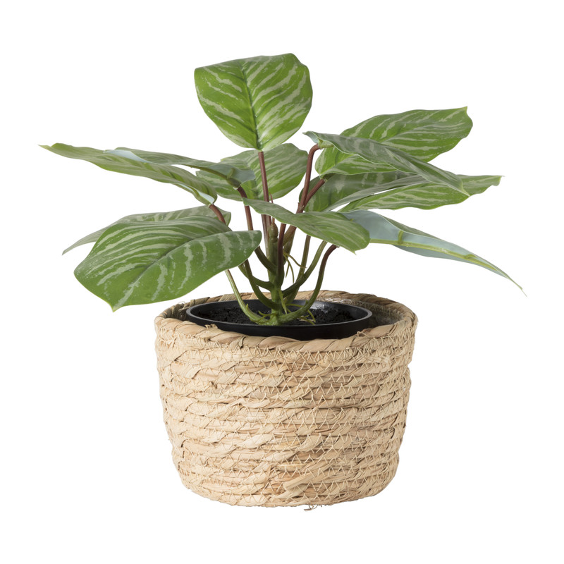 Bloempot Aaron - ø15x11 cm