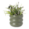 Hangbloempot bubbles - groen