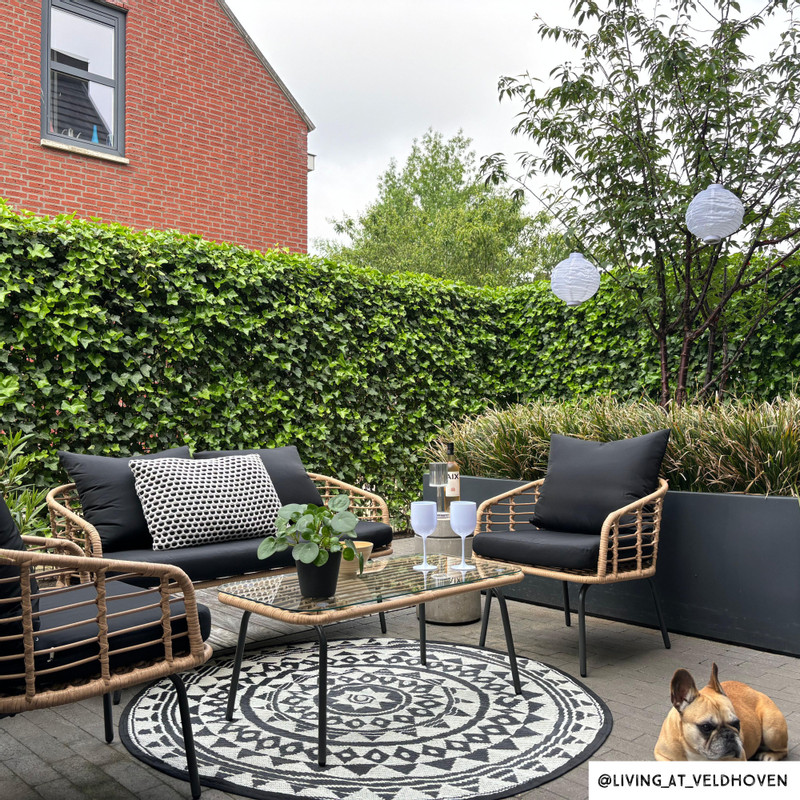 Tuinset Rhodos met kussens - 4-delig - metaal/polyester