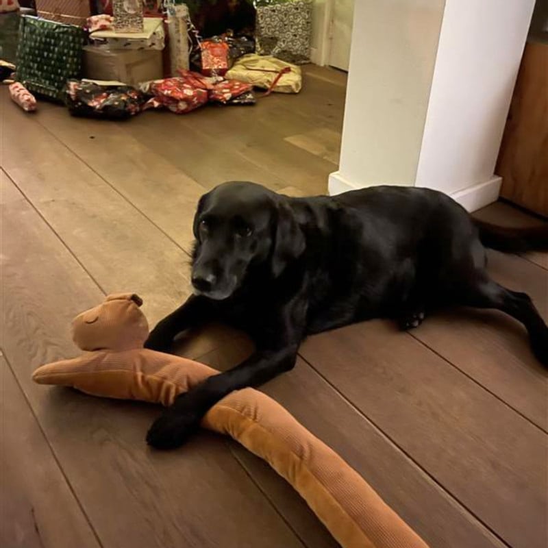 Tochtstopper hond - 90 cm 