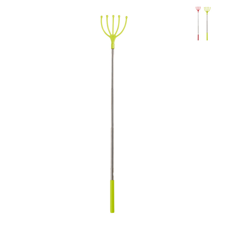 Ruggenkrabber - diverse soorten - 26 cm