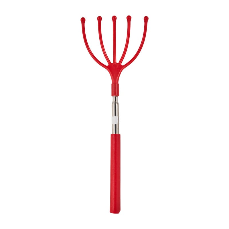 Ruggenkrabber - diverse soorten - 26 cm