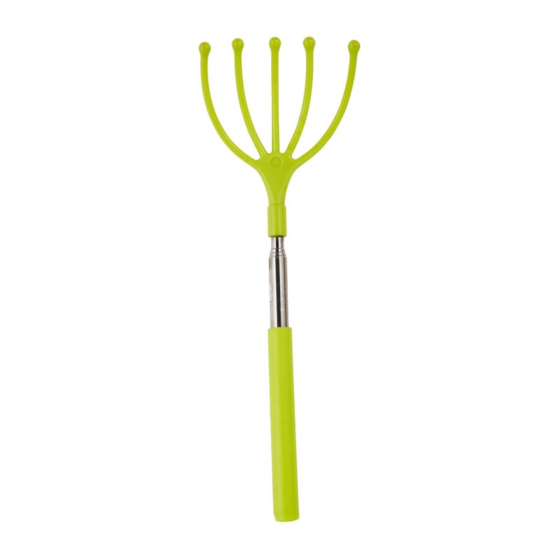 Ruggenkrabber - diverse soorten - 26 cm