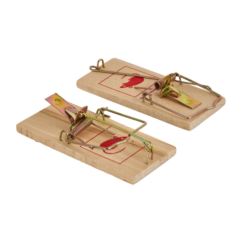 Muizenval - 4,7x9,8x0,6 cm