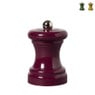 Mini peper- en zoutstel set van 2 - ø4.2x6.2 cm - diverse varianten