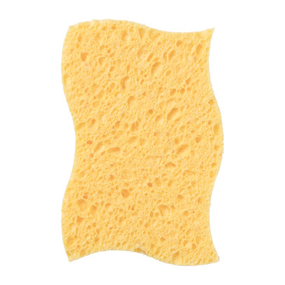 Huishoudspons
