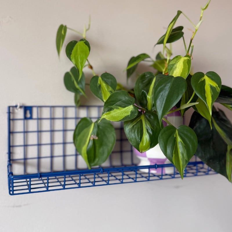 Wandrek draadwerk - blauw - 14x40x14 cm