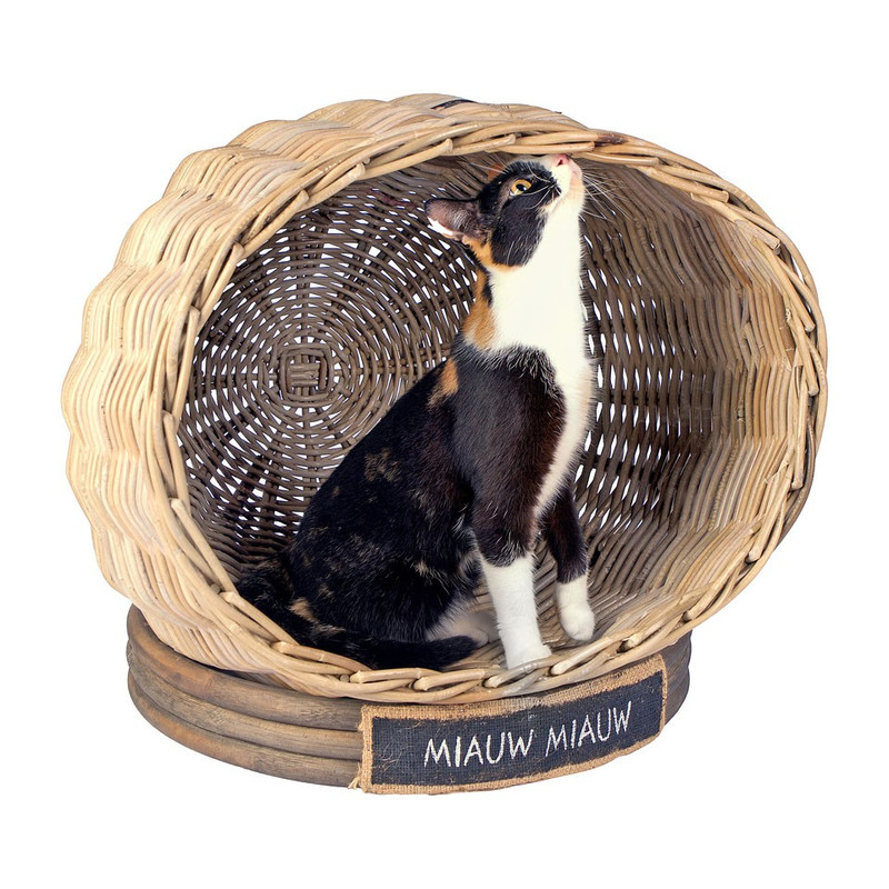 Kattenhuis rond miauw