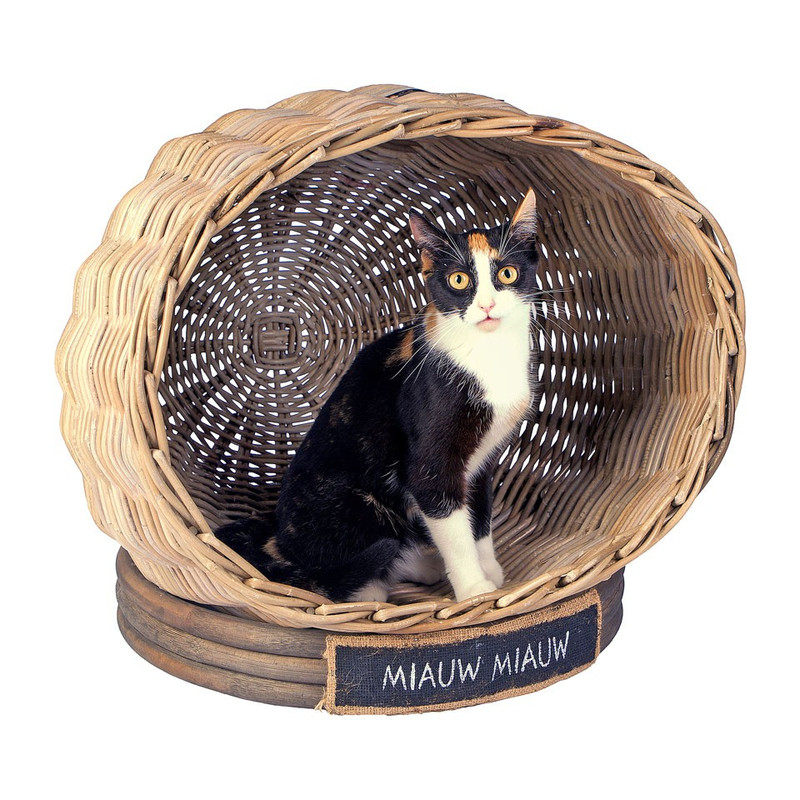 Kattenhuis rond miauw