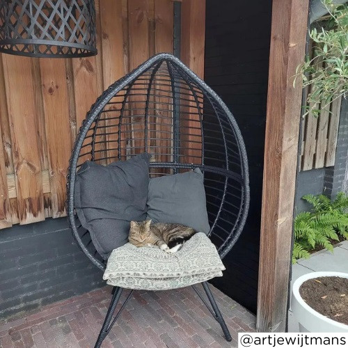 Egg chair zwart - 155x90x64 cm 