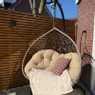 Hangstoel loveseat - beige - ø120x200 cm